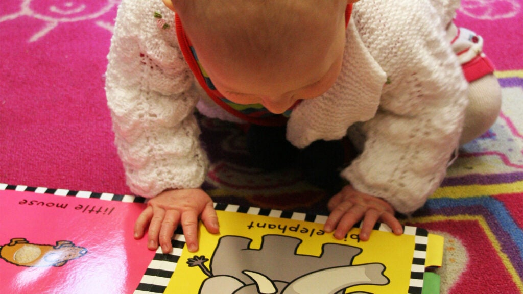 A baby looks at a board book