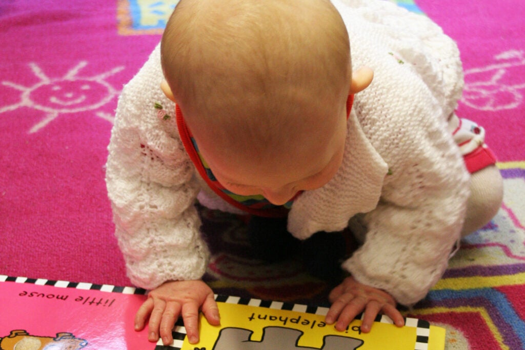 A baby looks at a board book