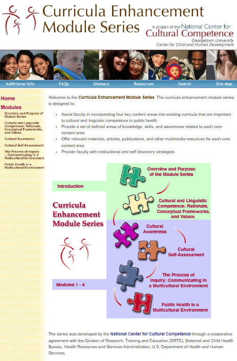 Screenshot of "Curricula Enhancement Module Series" web page.