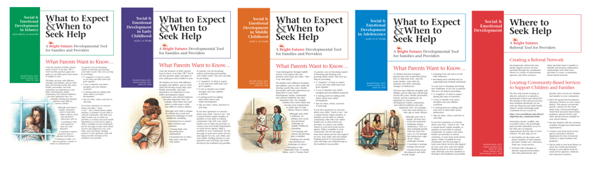 Screenshot of "What to Expect & When to Seek Help: Bright Futures Developmental Tools for Families and Providers" resources.