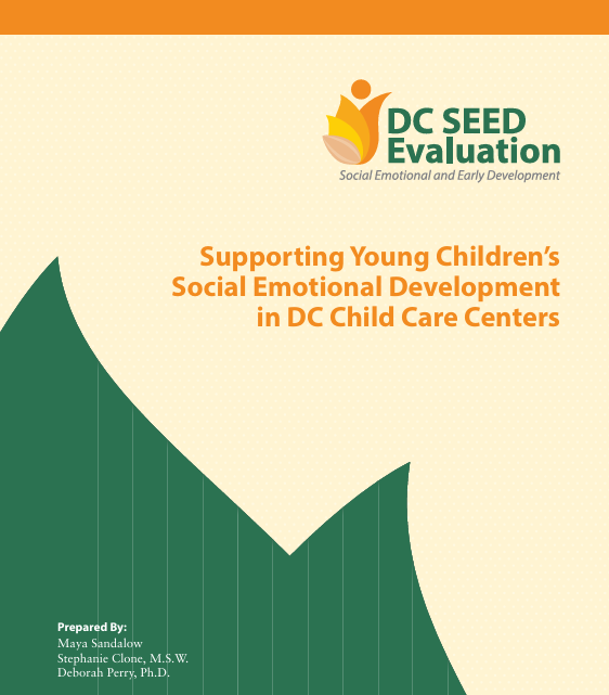 Screenshot of "Supporting Young Children’s Social Emotional Development in DC Child Care Centers" resource.
