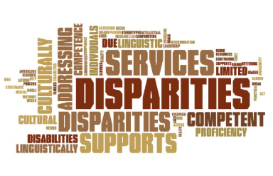 This word cloud emphasizes "DISPARITIES" and "SERVICES" as the central themes, with supporting terms related to cultural competency, disabilities, and linguistic support services arranged in brown and tan text of varying sizes.