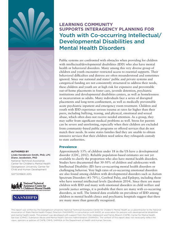 Screenshot of "Learning Community Supports Interagency Planning for Youth with Co-occurring Intellectual/Developmental Disabilities and Mental Health Disorders" resource.